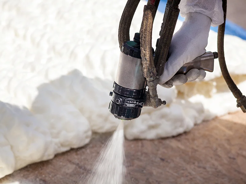 Foam Sprayer